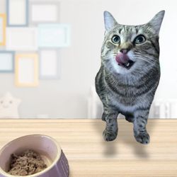 Megan's Pet Sitting - A cat that thinks Megan's Pet Sitting is as good as her breakfast