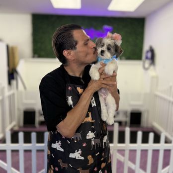 Comfort Cuts Pet Salon - Pet Groomers Near Me - Bakersfield, California Comfort Cuts Pet Salon - Pet Groomers Near Me - Bakersfield, California