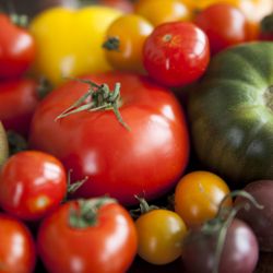 Montecito Village Grocery