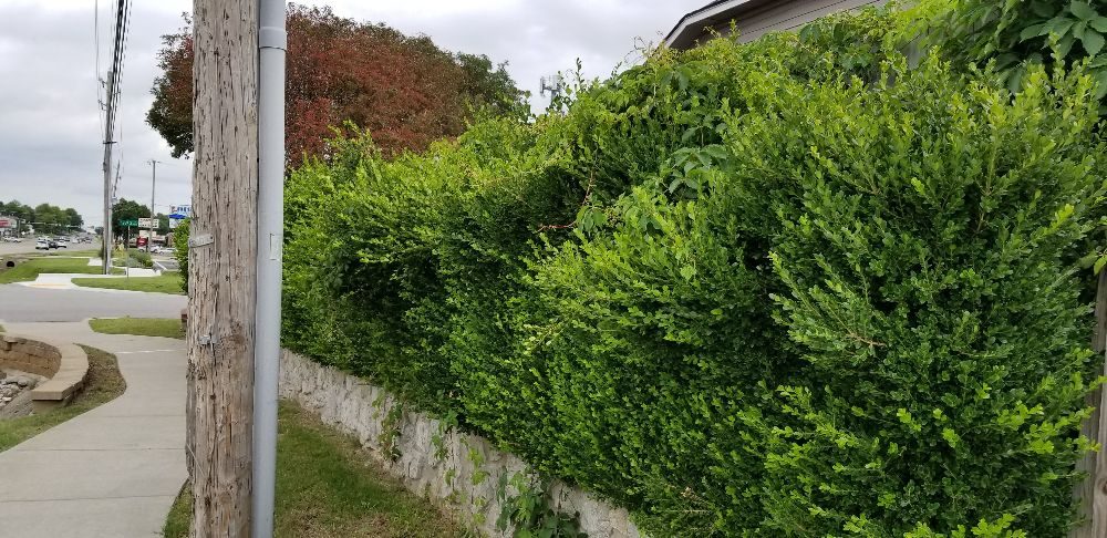 Slide of Fair Lawn Care Solutions