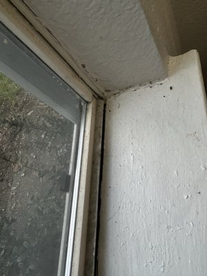 Grand Venetian by null