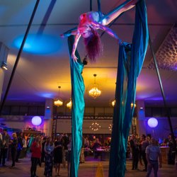 Aerial Butterflies - Under the Sea Aerial Silks