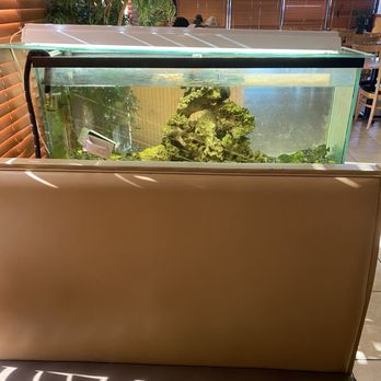 Hana Sushi - Sushi Bars Near Me - Mustang, Oklahoma