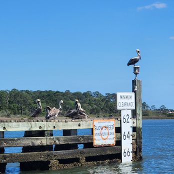 Gone2Sea Boat Rentals - Boat Charters Near Me - St. Augustine, Florida