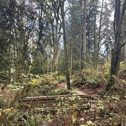 Evans Creek Preserve