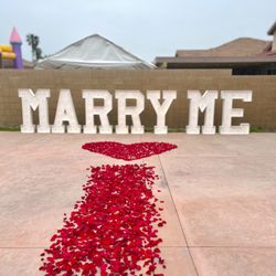 Toller Creations - Proposal including natural rose petal walkway & rose petal heart