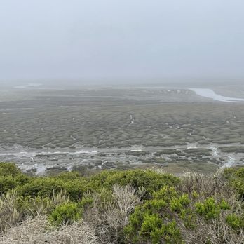 Los Osos Elfin Forest - Parks Near Me