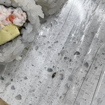 Ninja Sushi & Grill - Roach/bug in the sushi! - Japanese Near Me - Arlington, Texas Ninja Sushi & Grill - Roach/bug in the sushi! - Japanese Near Me - Arlington, Texas