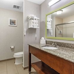 Hampton Inn Atmore - Guest room bath