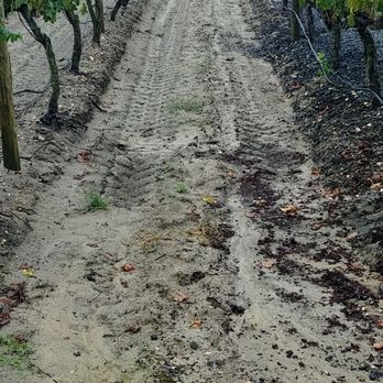 Plagido's Winery - Sandy South Jersey soil - Wineries Near Me - Hammonton, New Jersey