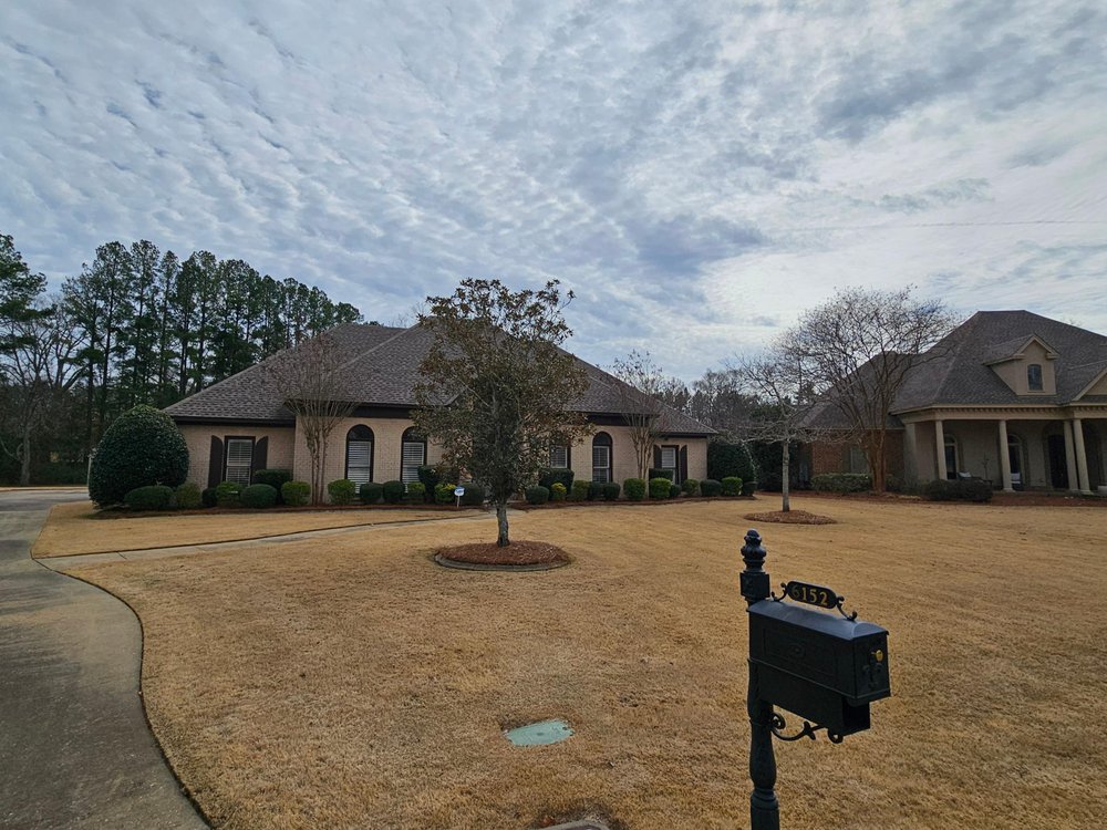 TOP NOTCH LAWNS Updated July 2024 1129 Dozier Rd, Montgomery