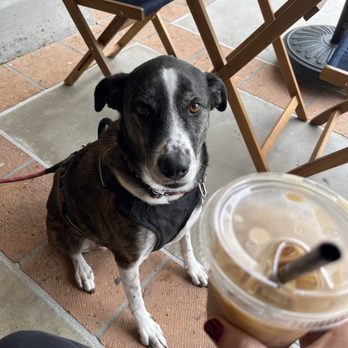 Caffe Mercato - Cafes Near Me - Menifee, California