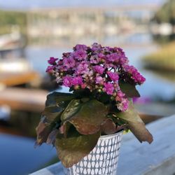 Glashyttans Värdshus - Veranda glashyttans värdshus