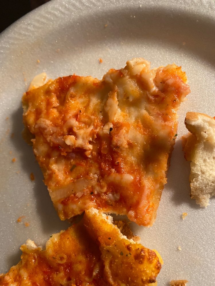 Domino's Pizza Logo