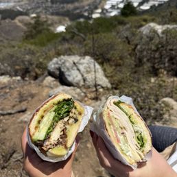 Grilled Chicken Melt