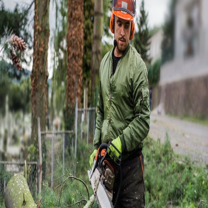Alaska Hydro-Ax Land Clearing - tree service in Anchorage, AK