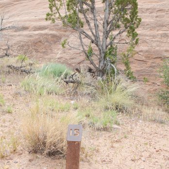 Colorado National Monument - Alcove Nature Trail: numbered posts that correspond to educational information on the trail's brochure. - Hiking Near Me - Fruita, Colorado Colorado National Monument - Alcove Nature Trail: numbered posts that correspond to educational information on the trail's brochure. - Hiking Near Me - Fruita, Colorado