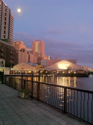 T.Y. HARBOR by null