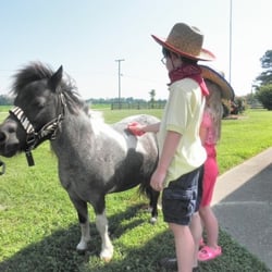 Beach Party Ponies & Barnyard Petting Zoo - Book your 2014 spring parties now! :)