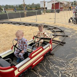Pumpkin Station - Train ride