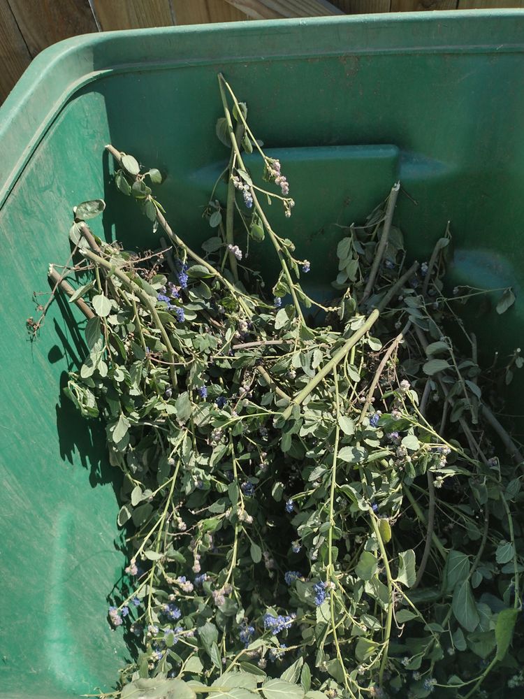 RONNYS Updated June 2024 Request a Quote 16 Photos & 10 Reviews