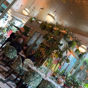 The Ivy - The ground floor bar abs dining area. It's beautiful! - Breakfast & Brunch Near Me - London, XGL