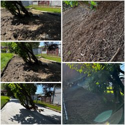 Robert O's Landscaping - Project Location: Brigview IL, reinstalling same edge, and installing brown mulch