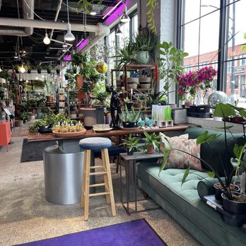 Daddy's Plants - Plants - Nurseries & Gardening Near Me - Buffalo, New York Daddy's Plants - Plants - Nurseries & Gardening Near Me - Buffalo, New York