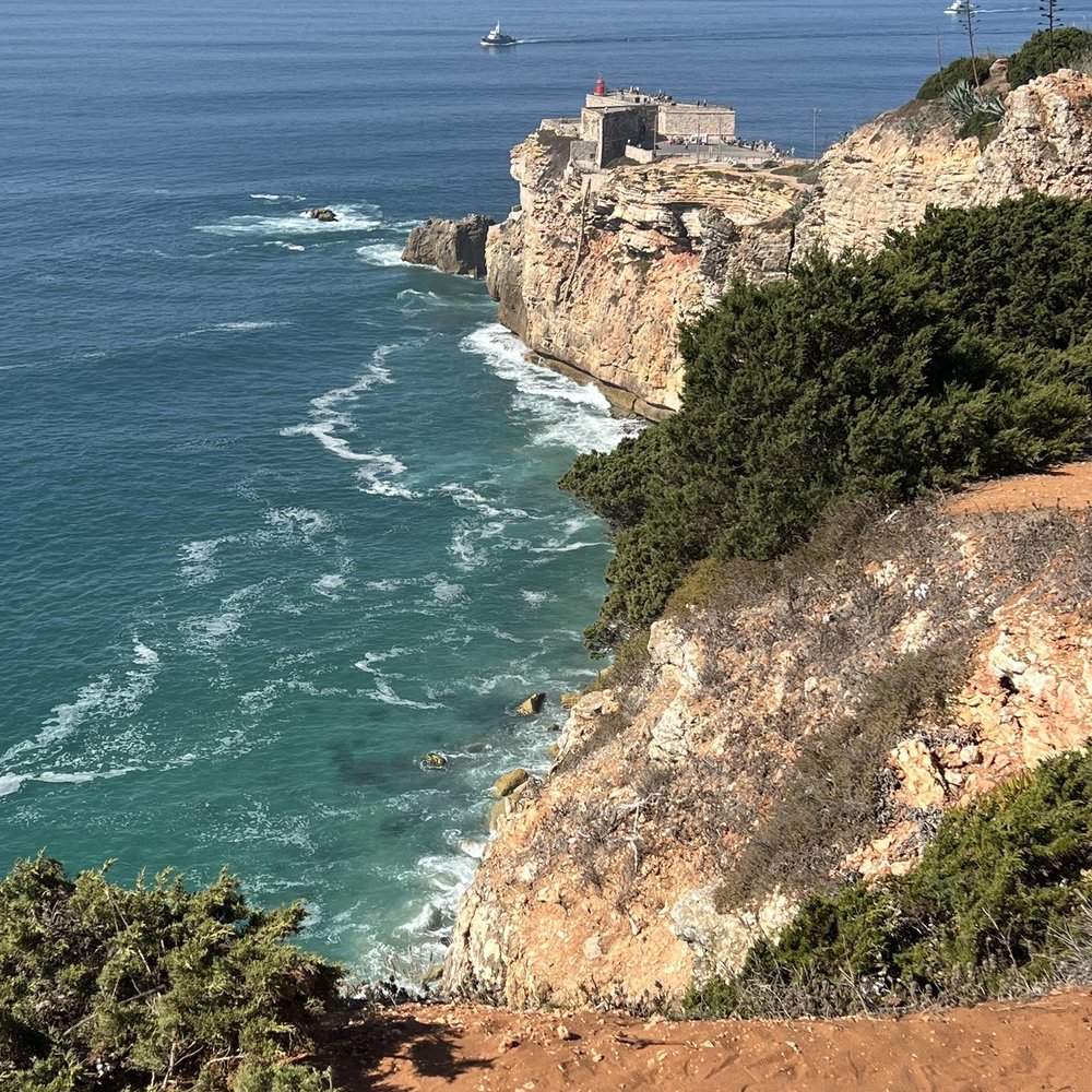 THE BEST 10 SCUBA DIVING in SARASOTA, FL - Updated 2026 - Hours - Yelp