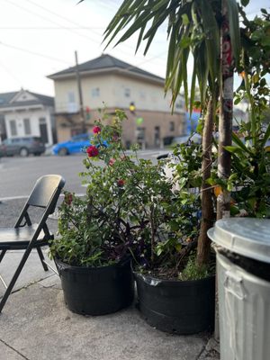 Flora Gallery & Coffee Shop by null