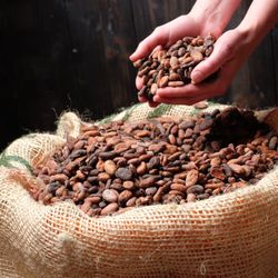 Petite Patrie Chocolate - We use the finest cacao beans and pay farmers fair-trade prices.