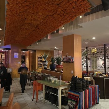 Oyamel - Inside - Mexican Near Me - Washington, DC, District of Columbia