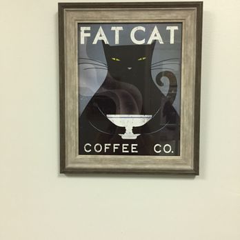 Catnip Cat Cafe - Pet Adoption Near Me - Norfolk, Virginia