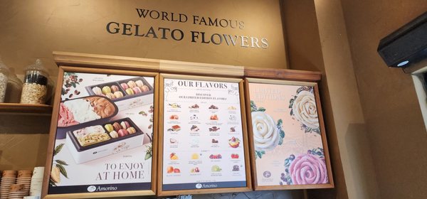 Amorino Gelato - Plano by null