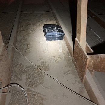 Desert West Pest Control - Be sure to know what's always in your attic! - Pest Control Near Me Desert West Pest Control - Be sure to know what's always in your attic! - Pest Control Near Me