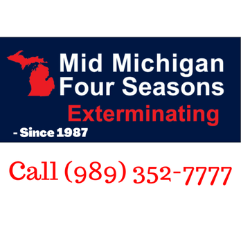 Four Seasons Exterminating - Pest Control Near Me - Lakeview, Michigan Four Seasons Exterminating - Pest Control Near Me - Lakeview, Michigan