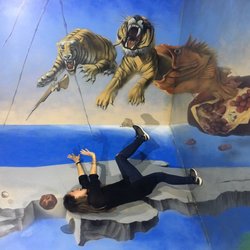 Museu de les Il·lusions