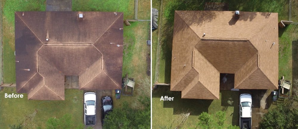 Slide of Slime Busters