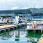 Loggerhead Dale Hollow State Park Marina