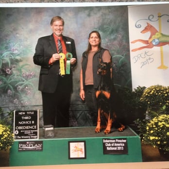 Patience Unlimited - Cenza & I receiving the AKC CD title @ the DPCA National in CA - Pet Training Near Me - Tucson, Arizona Patience Unlimited - Cenza & I receiving the AKC CD title @ the DPCA National in CA - Pet Training Near Me - Tucson, Arizona