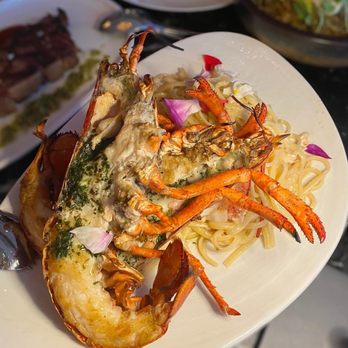 Margo - Lobster pasta - Wine Bars Near Me - Toronto, Ontario