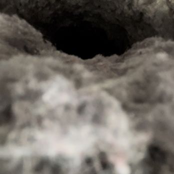 TruAir - Before pic - Air Duct Cleaning Near Me TruAir - Before pic - Air Duct Cleaning Near Me