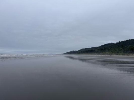 Kalaloch Campground by null