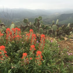 Ranch Overlook Trail