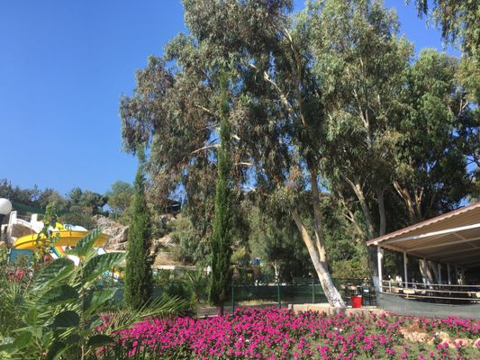 Akçagerme Plajı by null