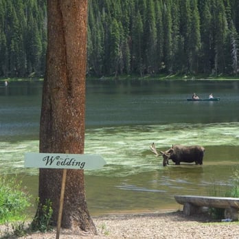 Piney River Ranch - Moose! On someones wedding day! how special!! - Guest Houses Near Me - Vail, Colorado