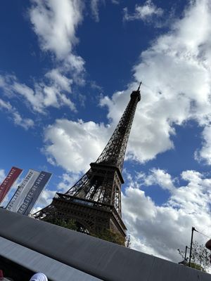 Vedettes de Paris by null