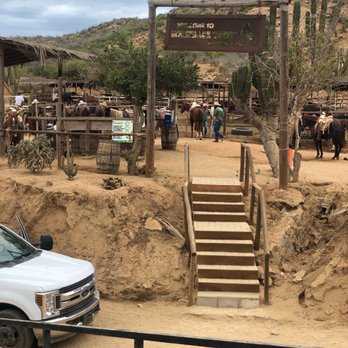 Cactus Tours - Tours Near Me - Cabo San Lucas, BCS