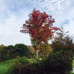 Such a beautiful course mid October Such a beautiful course mid October