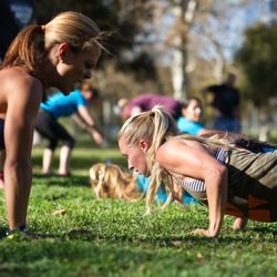 The World's Best Boot Camp